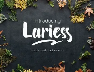 Lariess Brush font