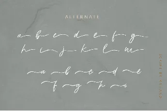 Austria Handwritten Typeface font