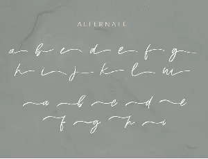 Austria Handwritten Typeface font