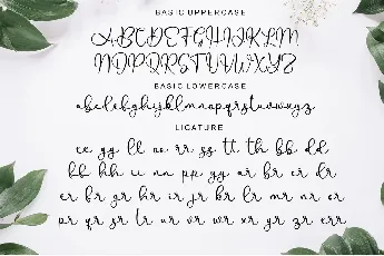 Allenisa - Personal Use font