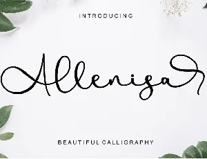 Allenisa - Personal Use font