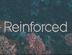 Reinforced font