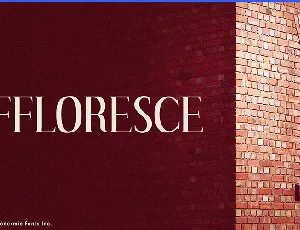 Effloresce font