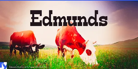 Edmunds font