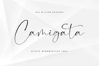 Camigata Handwritten Signature font