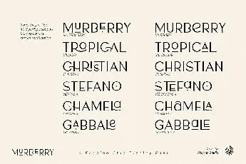 AL Murberry Display font