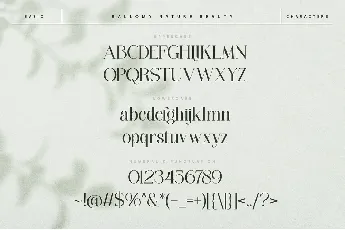 Rallomy font