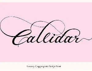 Callidar Calligraphy font