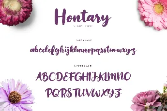 Hontary font