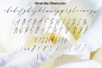 Virandia font