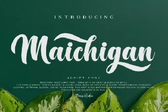 Maichigan Bold Script font