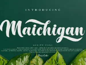 Maichigan Bold Script font