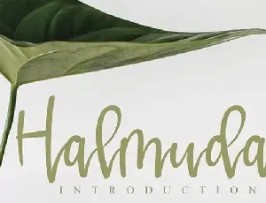 Halmuda Script font