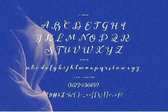 Nokarin font