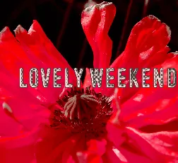 Lovely Weekend font