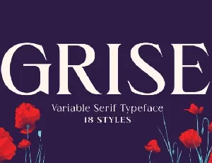 Grise font