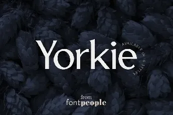 Yorkie Family font