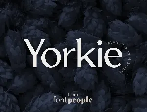 Yorkie Family font