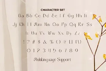 Bracella Demo font