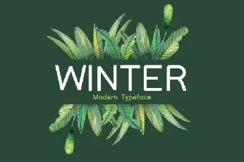 Winter Sans Serif font