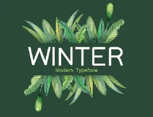 Winter Sans Serif font