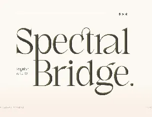 Spectral Bridge font