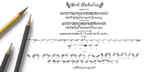 Pink Gladiolus font