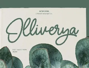 Olliverya font