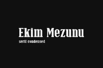 Ekim Mezunu Slab Serif font