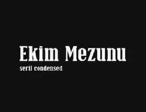 Ekim Mezunu Slab Serif font