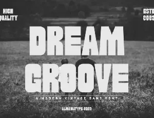 Dream Groove font