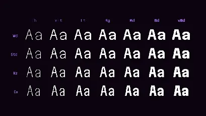 Martian Mono font