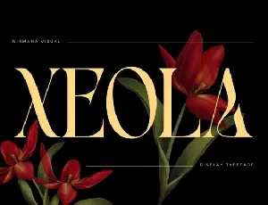 Xeola font