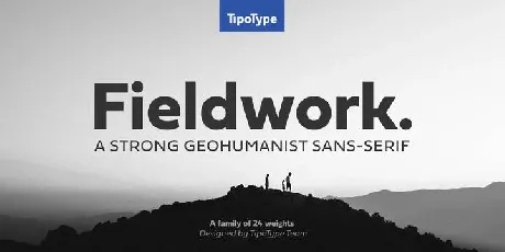 Fieldwork Family font