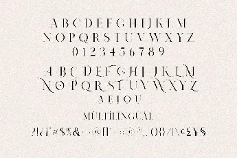 Nomark Serif Ligature Typeface font