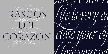 Dream Script Pro Family font