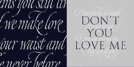 Dream Script Pro Family font