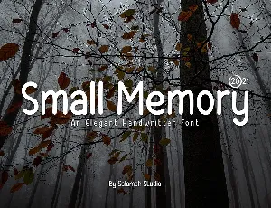 Small Memory font