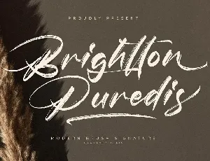 Brightton Puredis font