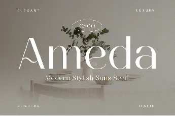 Ameda Demo font