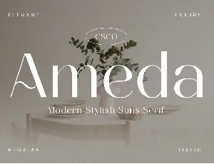 Ameda Demo font