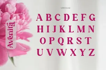 Avenita font