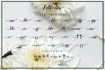 Fellissia font