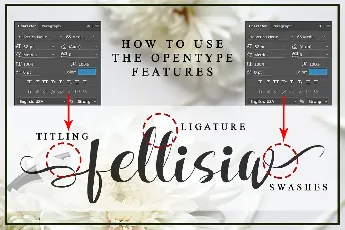 Fellissia font