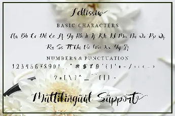 Fellissia font