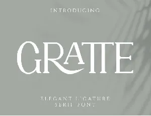 Gratte font