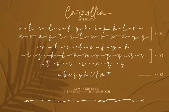 Carnollia Signature Trial Version font