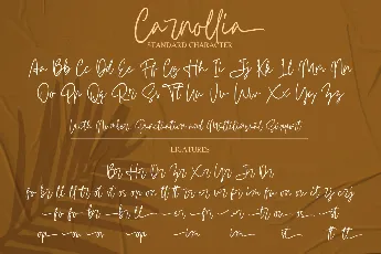 Carnollia Signature Trial Version font