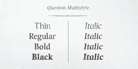 Quanton Family font