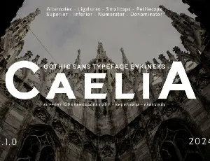 Caelia Family font